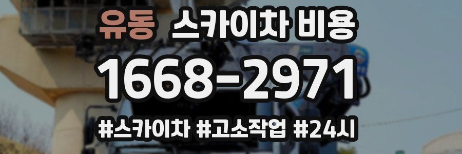 유동 스카이차 비용