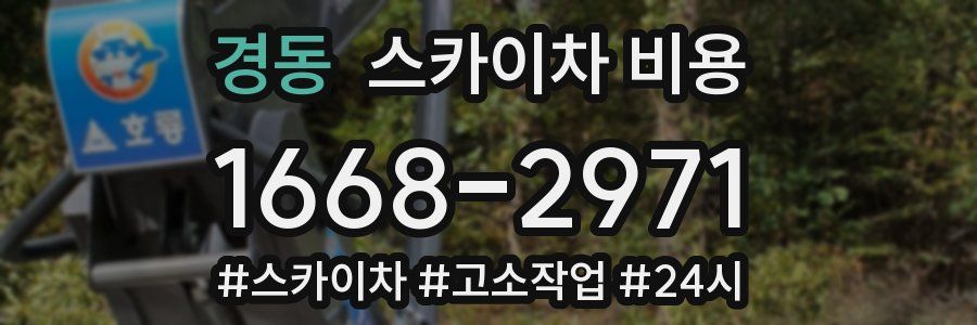 경동 스카이차 비용