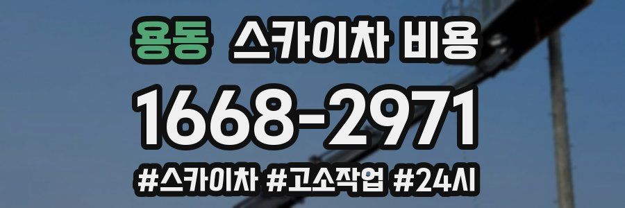 용동 스카이차 비용