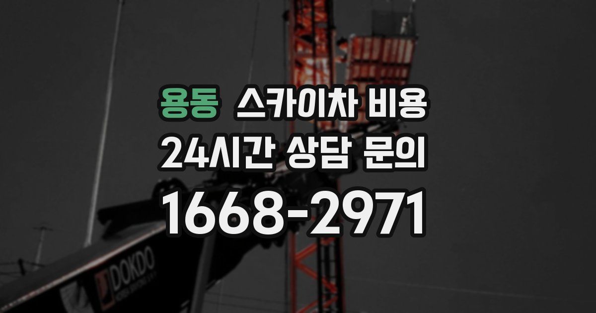 용동 스카이차 비용