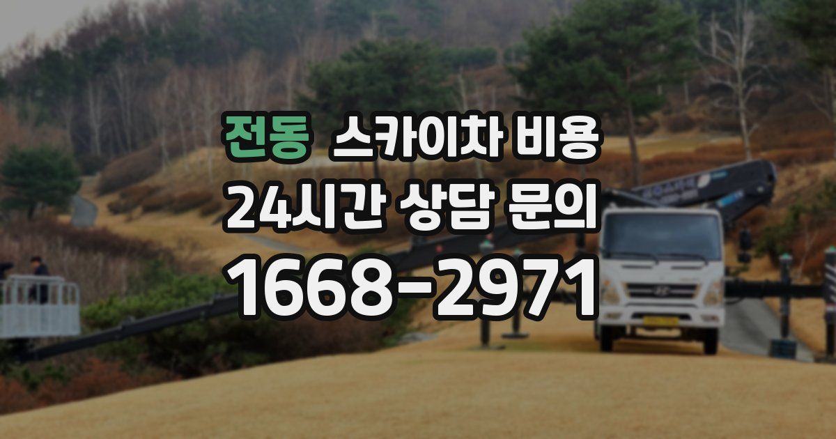 전동 스카이차 비용