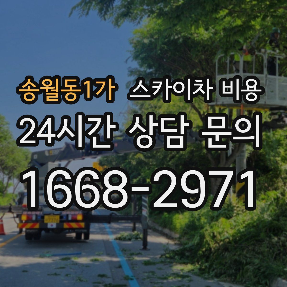 송월동1가 스카이차 비용