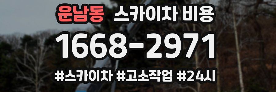 운남동 스카이차 비용