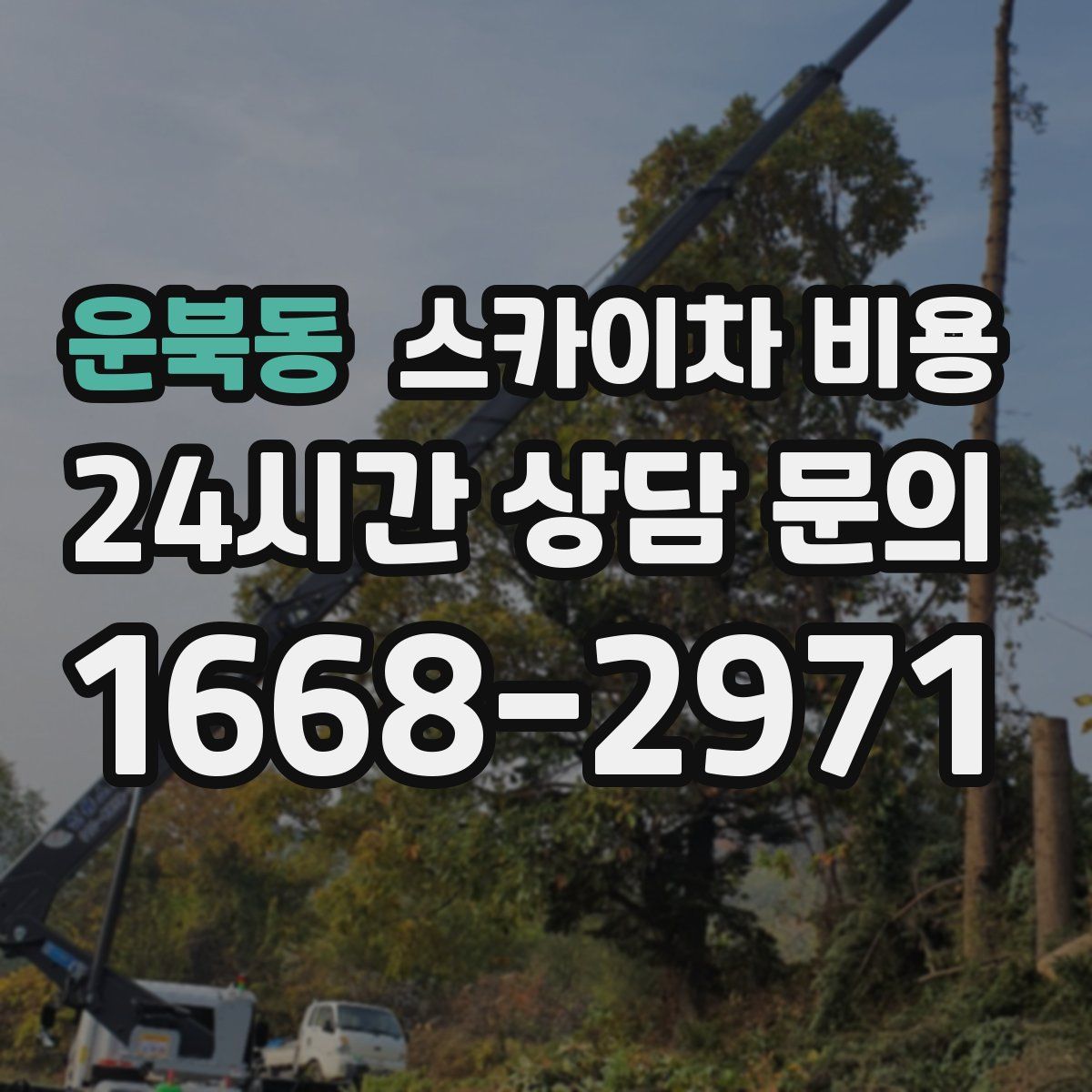 운북동 스카이차 비용