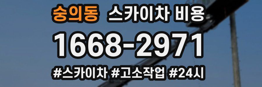 숭의동 스카이차 비용