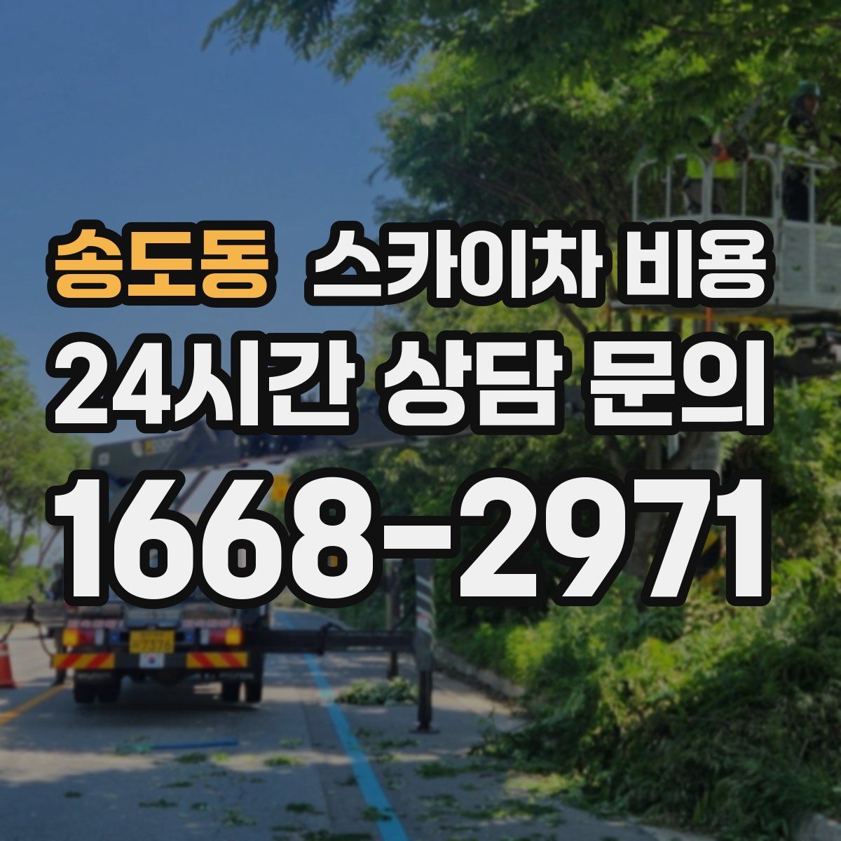 송도동 스카이차 비용