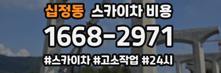 십정동 스카이차 비용