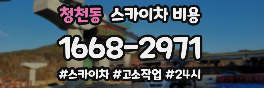 청천동 스카이차 비용