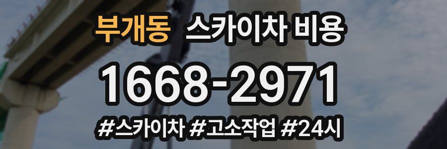 부개동 스카이차 비용
