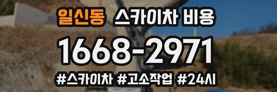 일신동 스카이차 비용