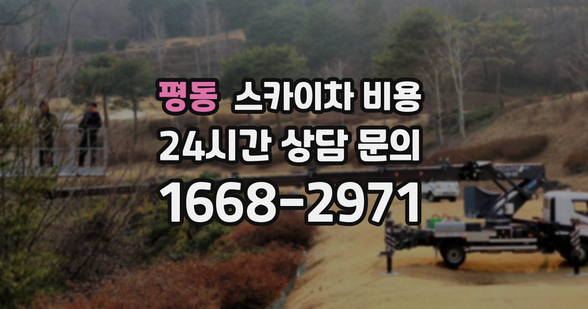 평동 스카이차 비용