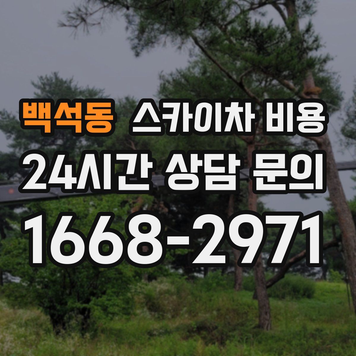 백석동 스카이차 비용