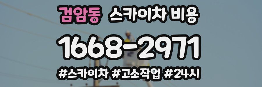 검암동 스카이차 비용