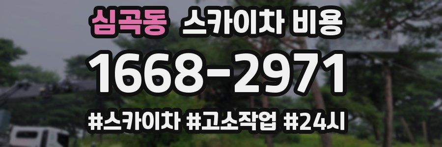 심곡동 스카이차 비용