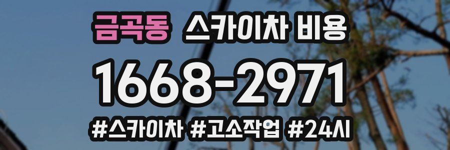 금곡동 스카이차 비용
