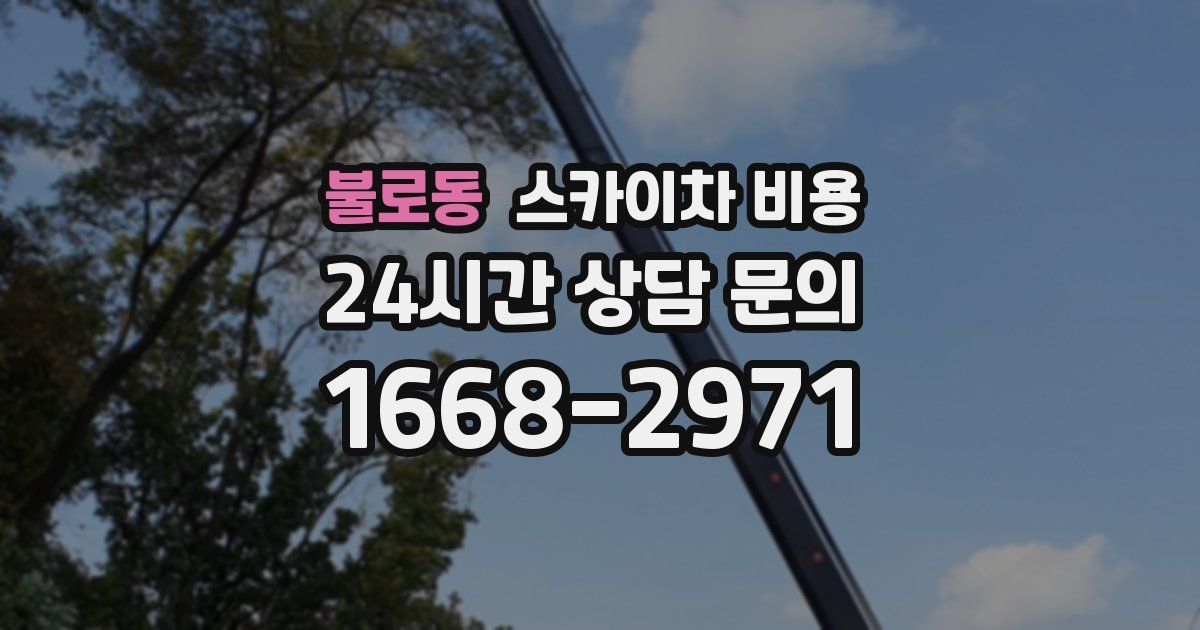 불로동 스카이차 비용