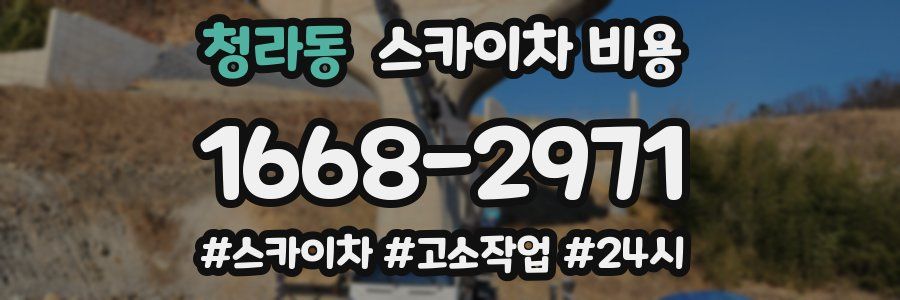 청라동 스카이차 비용