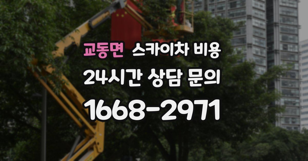 교동면 스카이차 비용