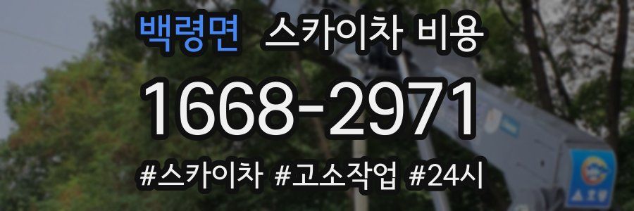 백령면 스카이차 비용