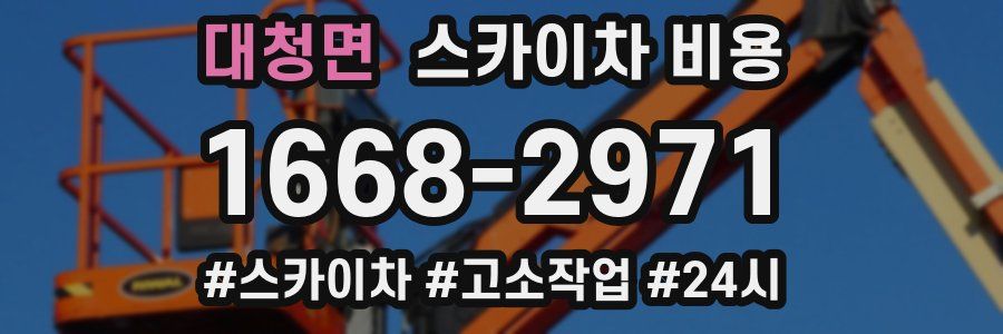 대청면 스카이차 비용