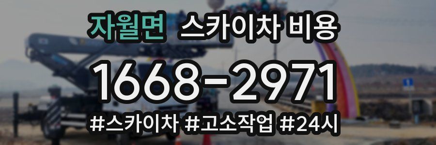 자월면 스카이차 비용