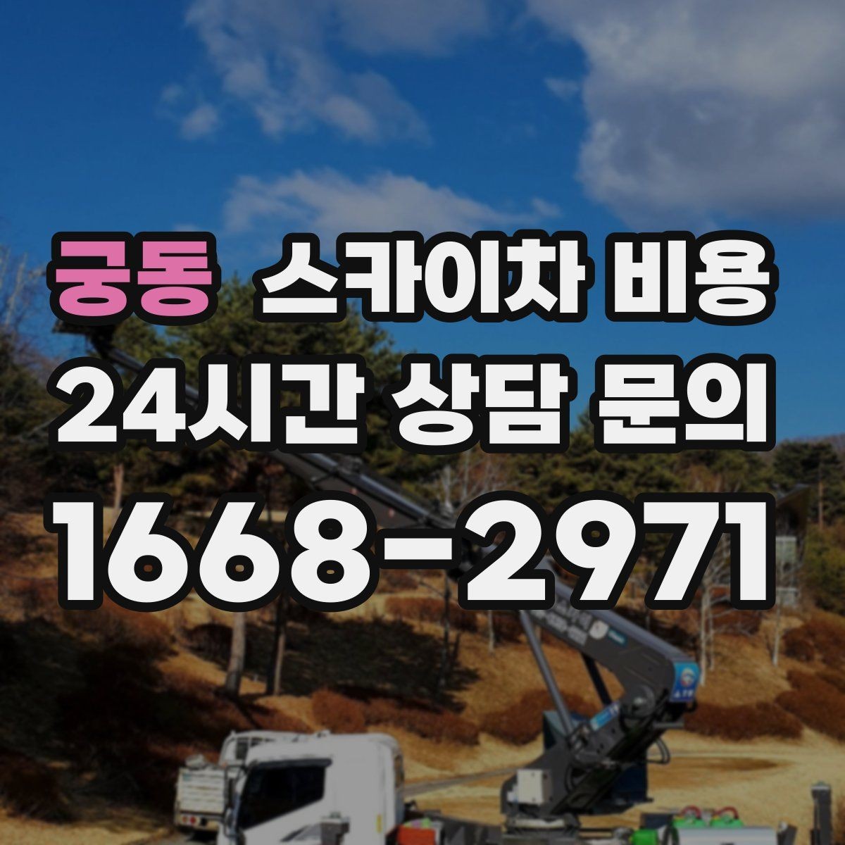 궁동 스카이차 비용 골목 상권 작업이 까다로운 이유 한 번에 정리