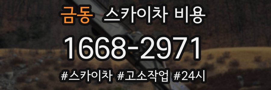 금동 스카이차 비용