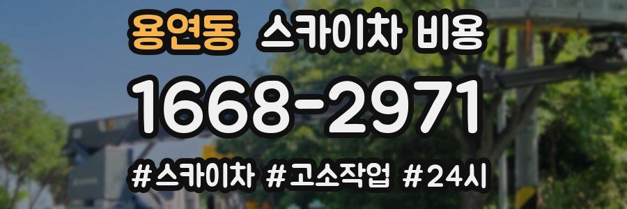 용연동 스카이차 비용