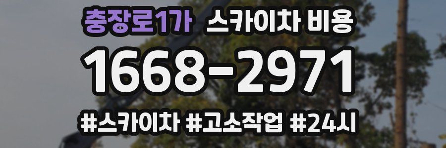 충장로1가 스카이차 비용