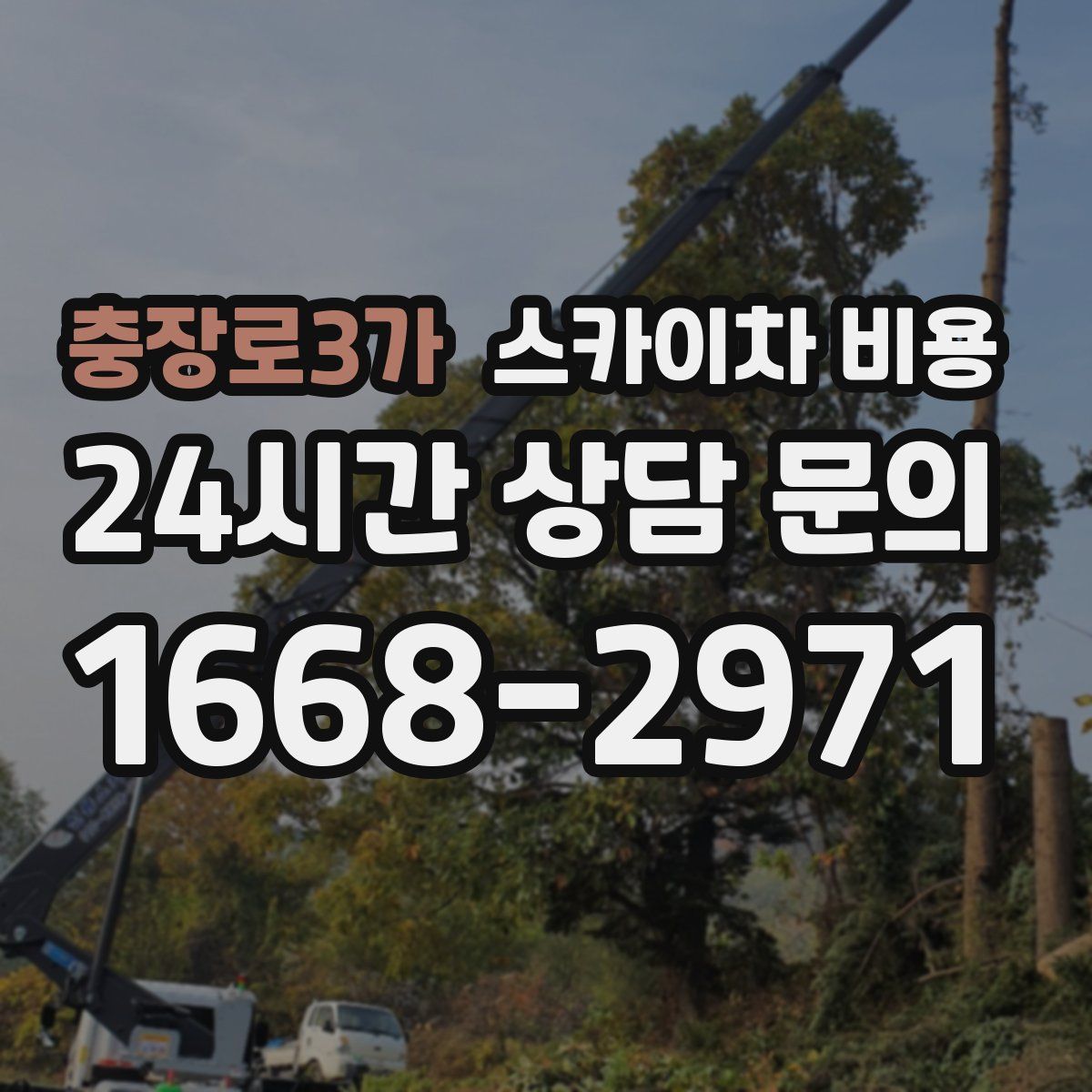 충장로3가 스카이차 비용