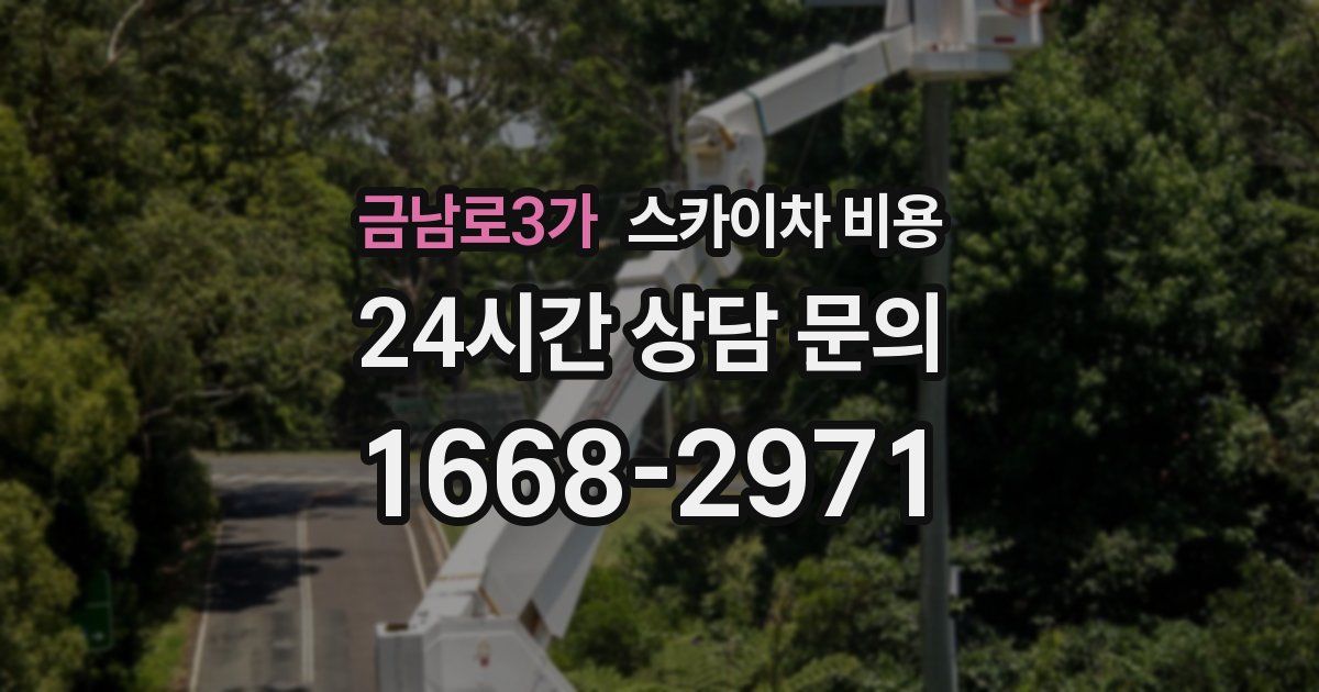 금남로3가 스카이차 비용