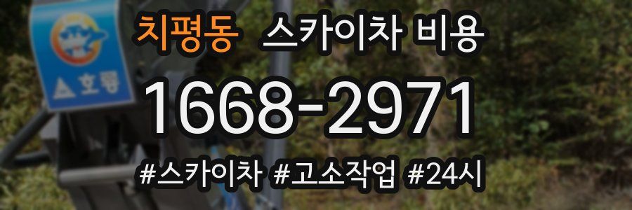 치평동 스카이차 비용