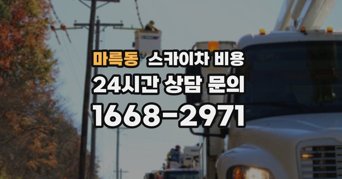 마륵동 스카이차 비용