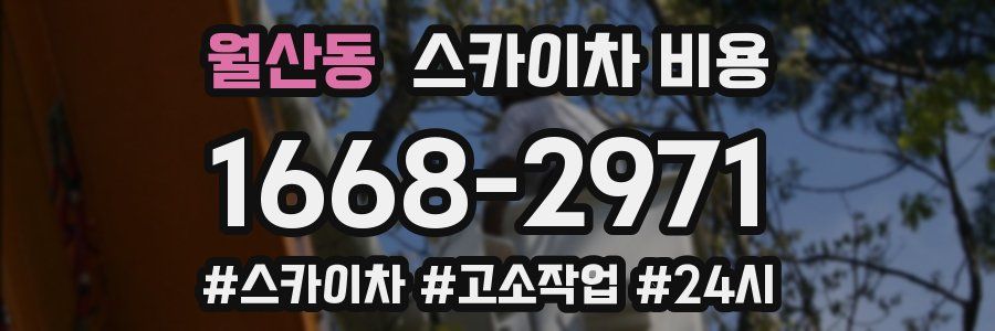 월산동 스카이차 비용