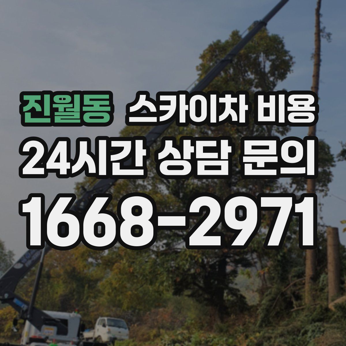 진월동 스카이차 비용