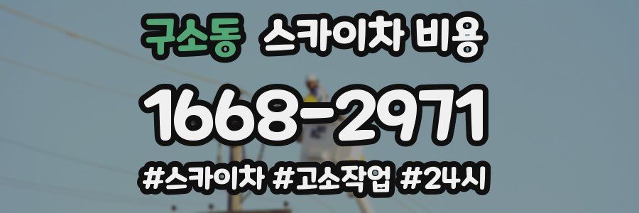 구소동 스카이차 비용