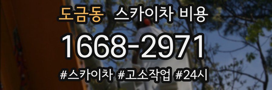 도금동 스카이차 비용