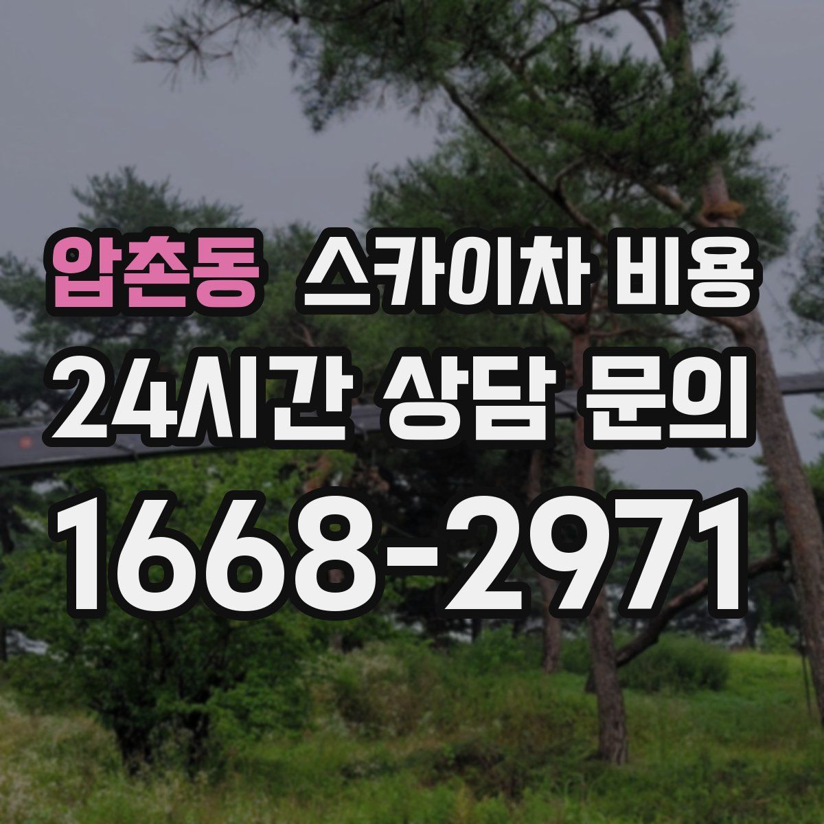 압촌동 스카이차 비용