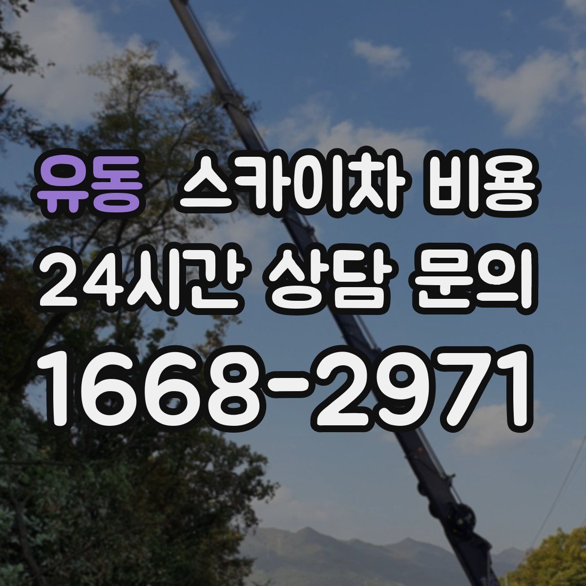 유동 스카이차 비용