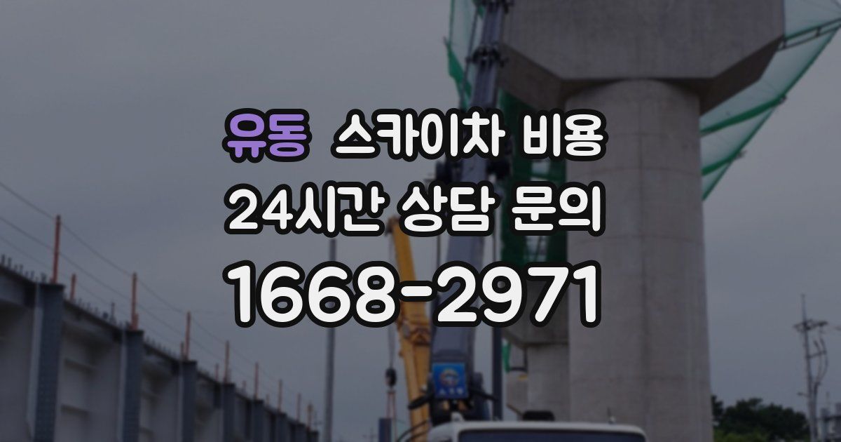 유동 스카이차 비용