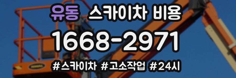 유동 스카이차 비용