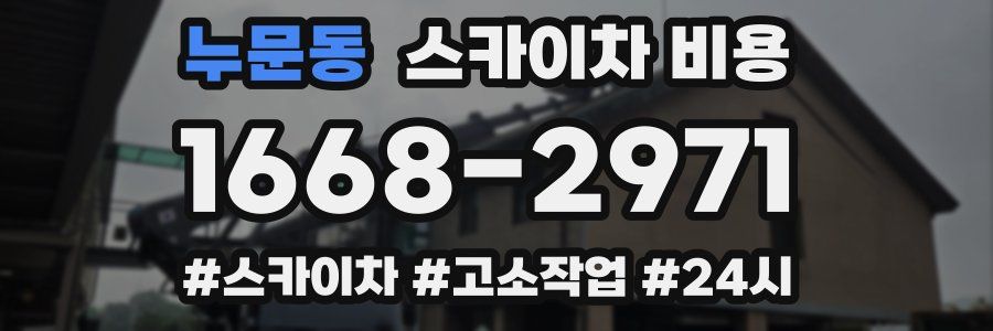 누문동 스카이차 비용