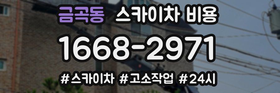 금곡동 스카이차 비용