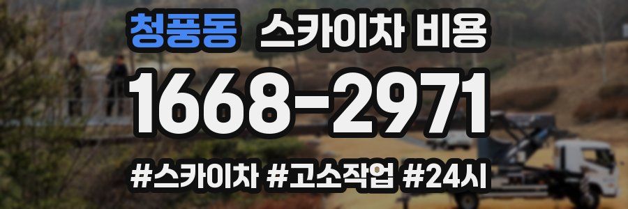 청풍동 스카이차 비용