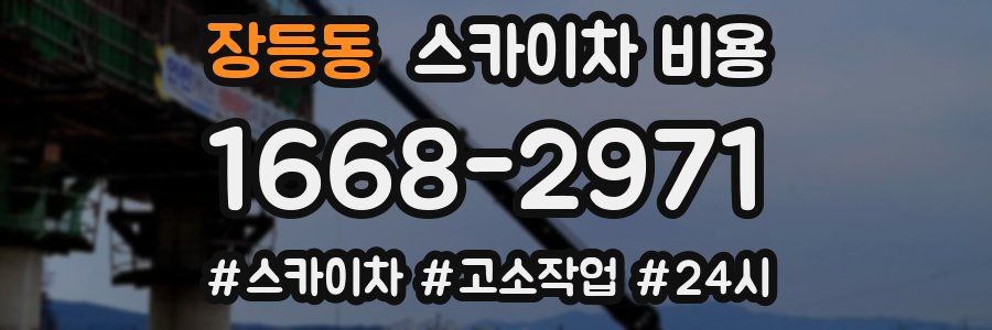 장등동 스카이차 비용