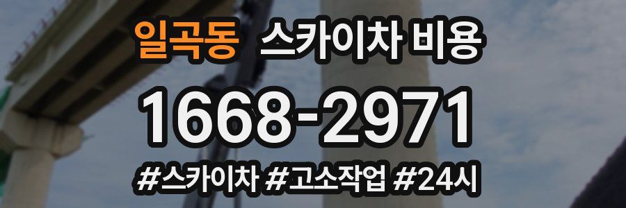 일곡동 스카이차 비용