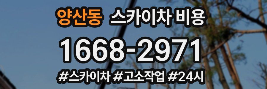 양산동 스카이차 비용