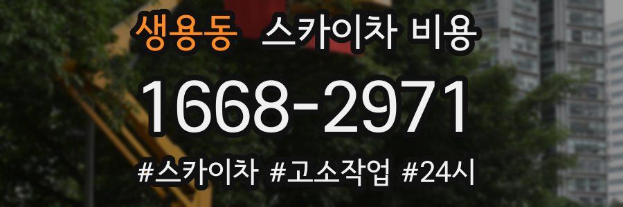 생용동 스카이차 비용
