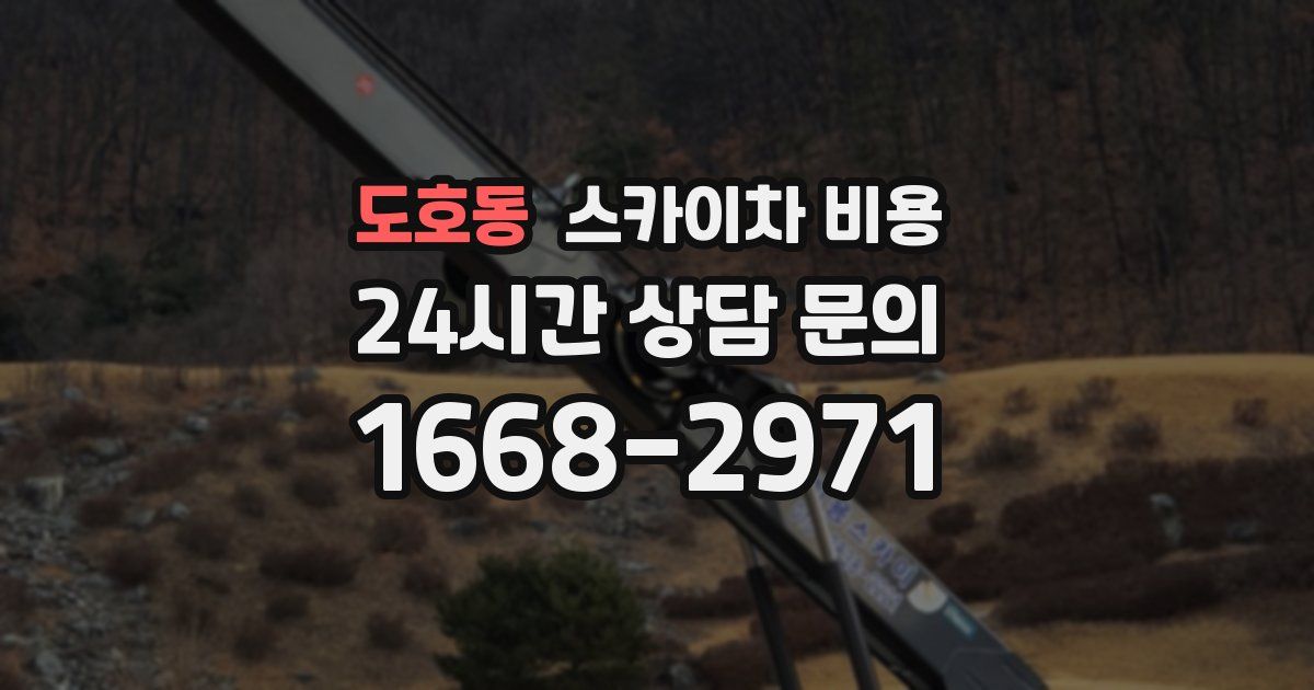 도호동 스카이차 비용