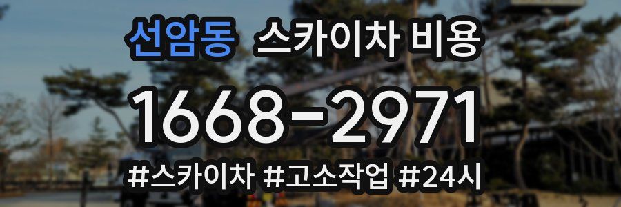선암동 스카이차 비용